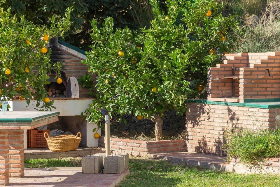 Spring, Day, BBQ facilities, Garden, Balcony/Terrace, Garden view, oven