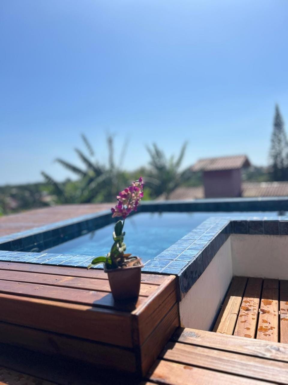 Vista da magia , com piscina privativa Apartment in Florianopolis