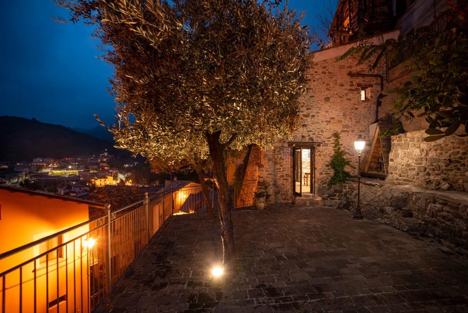 Night, Garden, View (from property/room)