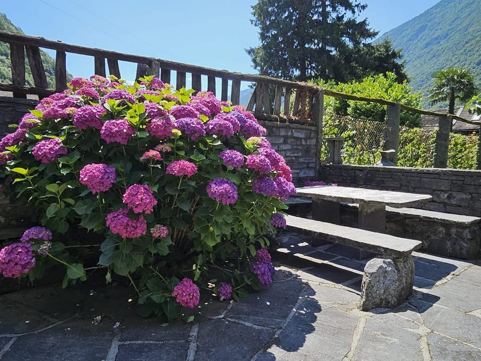 Rustico La Rocca by Fewotessin House in Canton of Ticino
