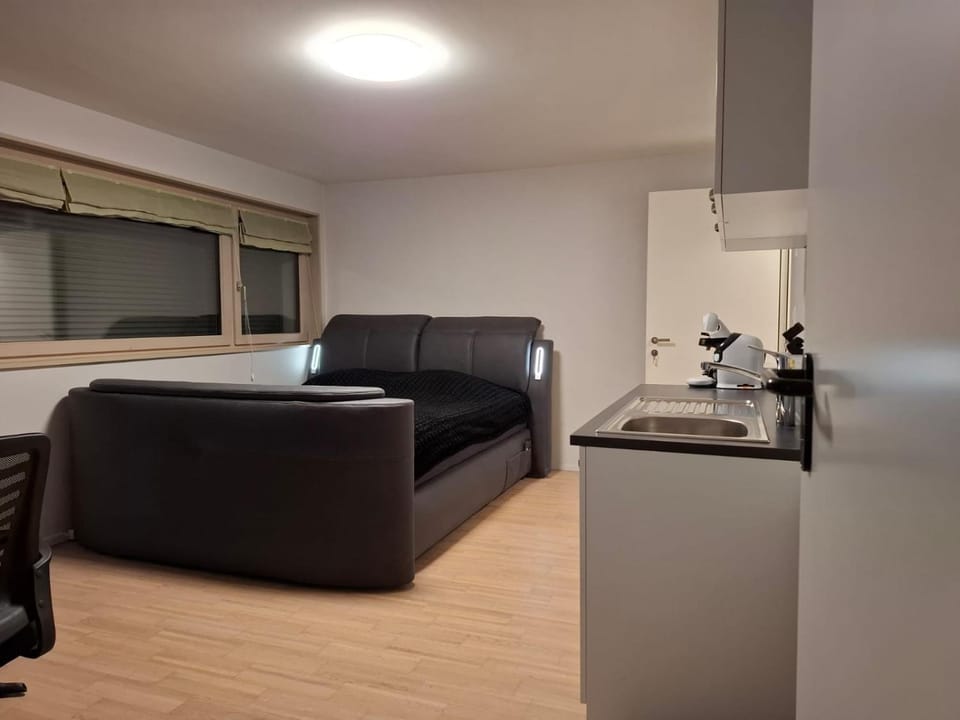 Studio avec sauna privé Apartment in Fribourg, Switzerland