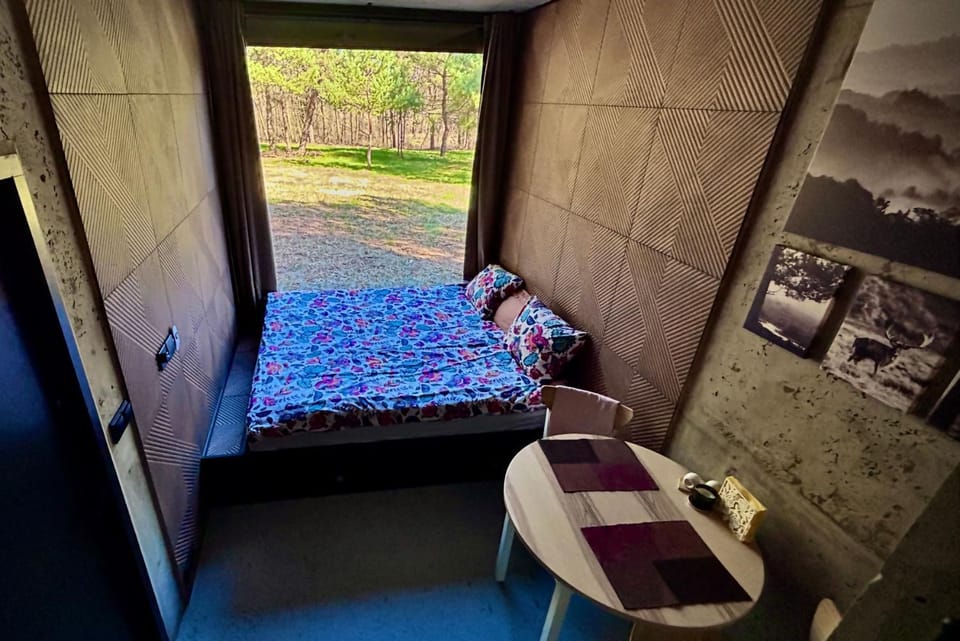 Bed, Seating area, Bedroom