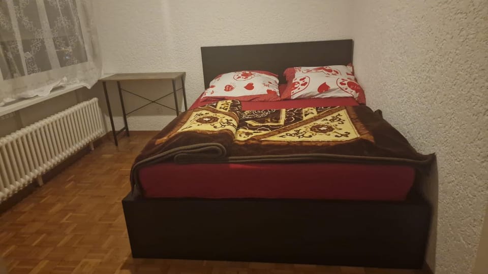 Cosy Room in a Flat Apartment in Canton of Bern (Region)