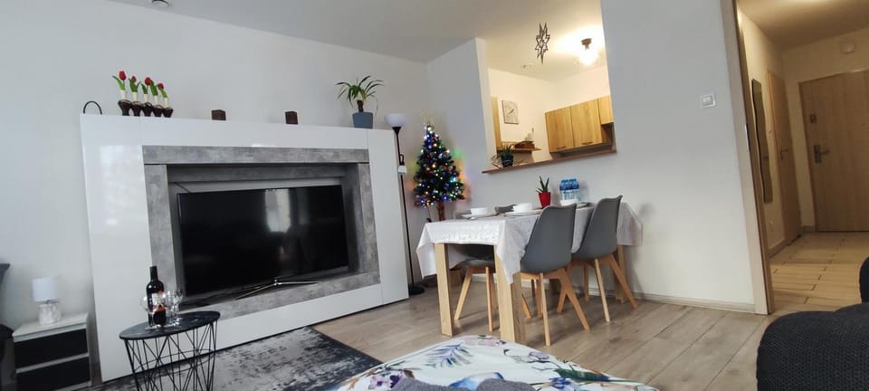 Apartament Słoneczny 11 Apartment in Lower Silesian Voivodeship
