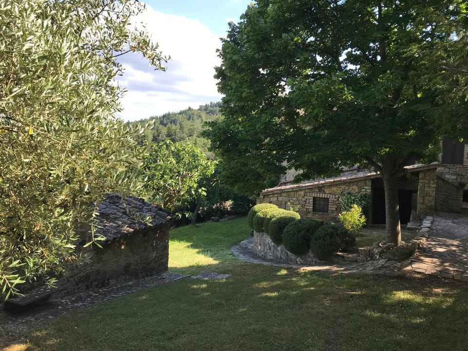 Garden view