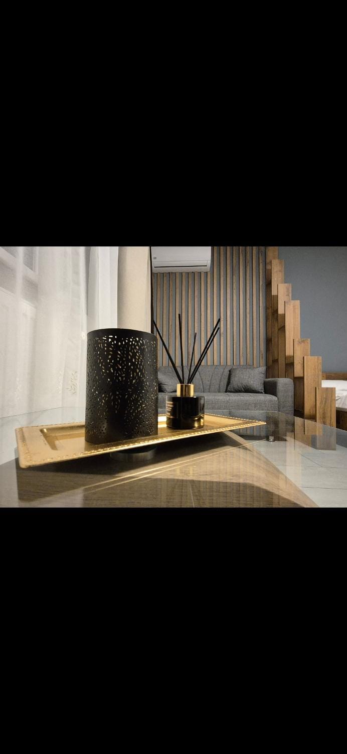 Apartament Raul Apartment in Timisoara