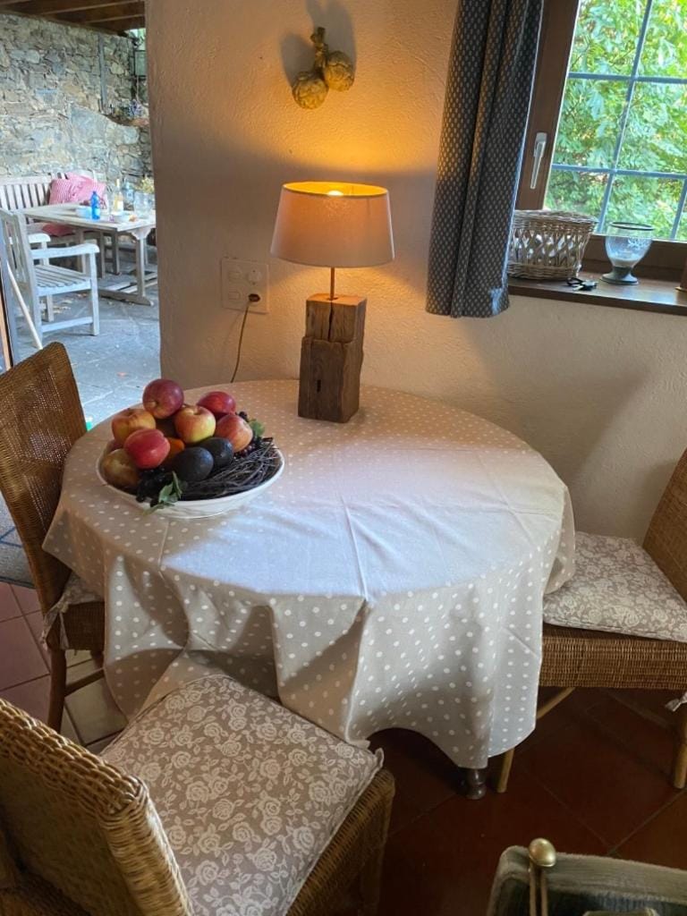 Rustico Gatto & Topolino by Fewotessin House in Locarno