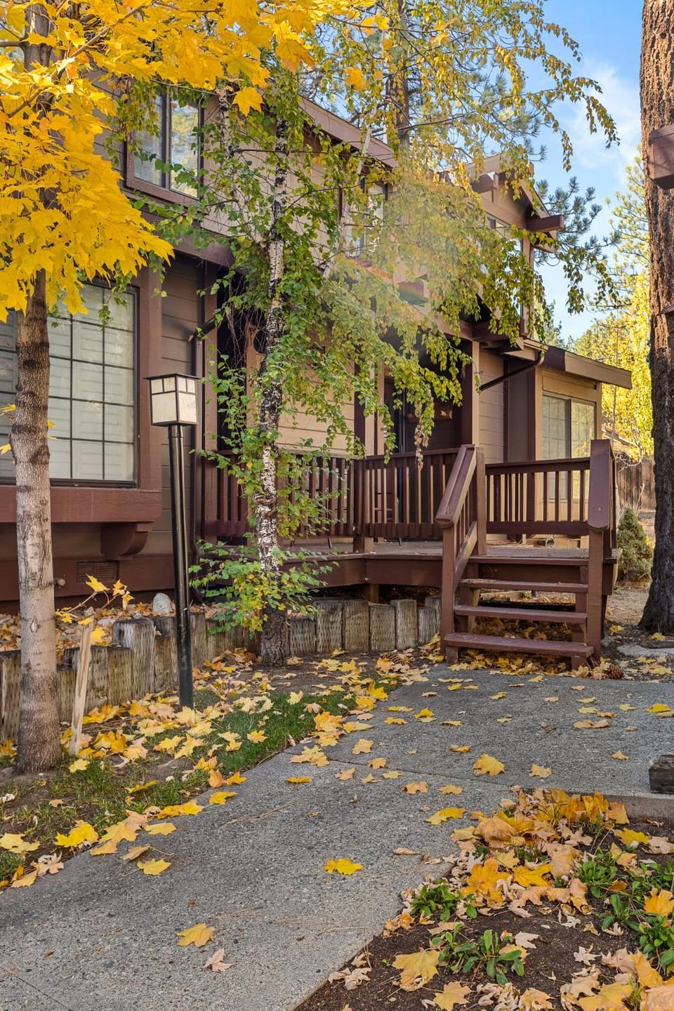 Property building, Day, Garden view