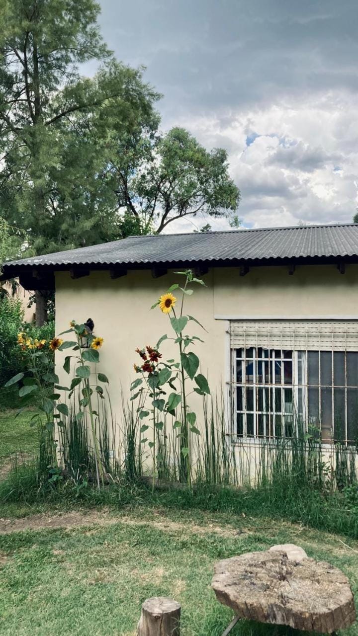 Day, Garden view