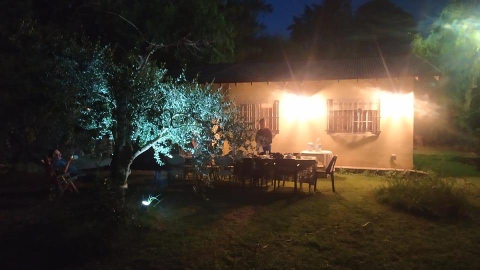 Night, Garden, Garden view