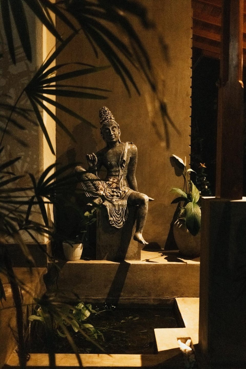 Night, Garden, Garden view