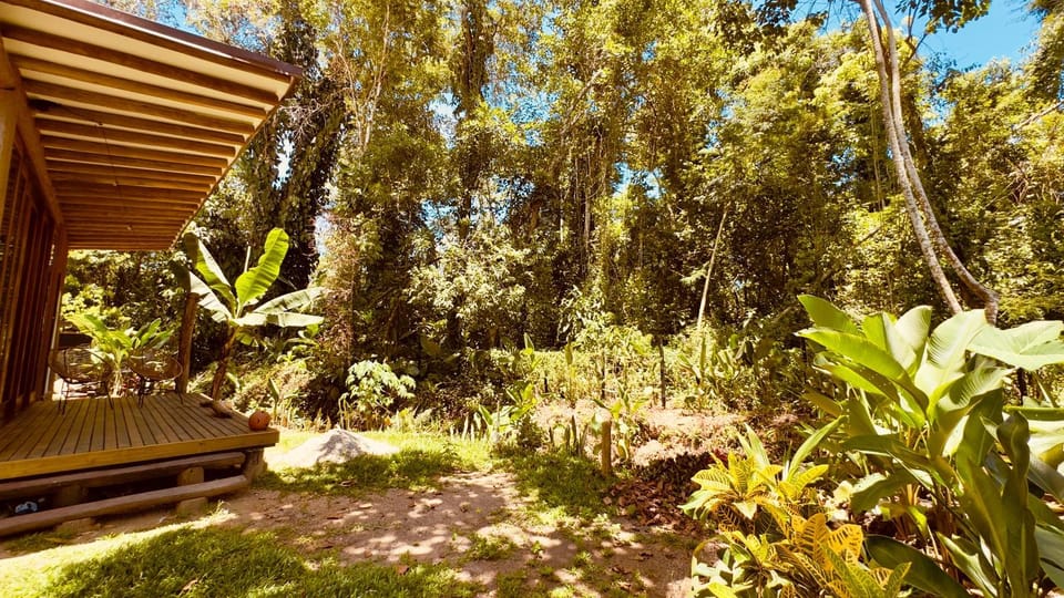Day, Natural landscape, Garden
