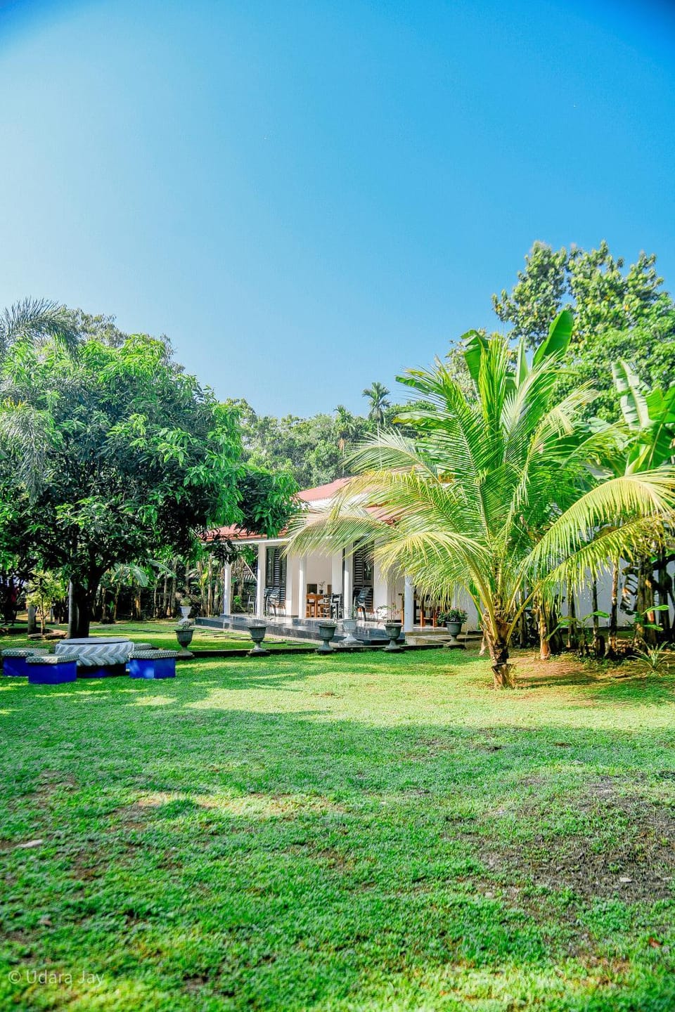 Garden, Garden view