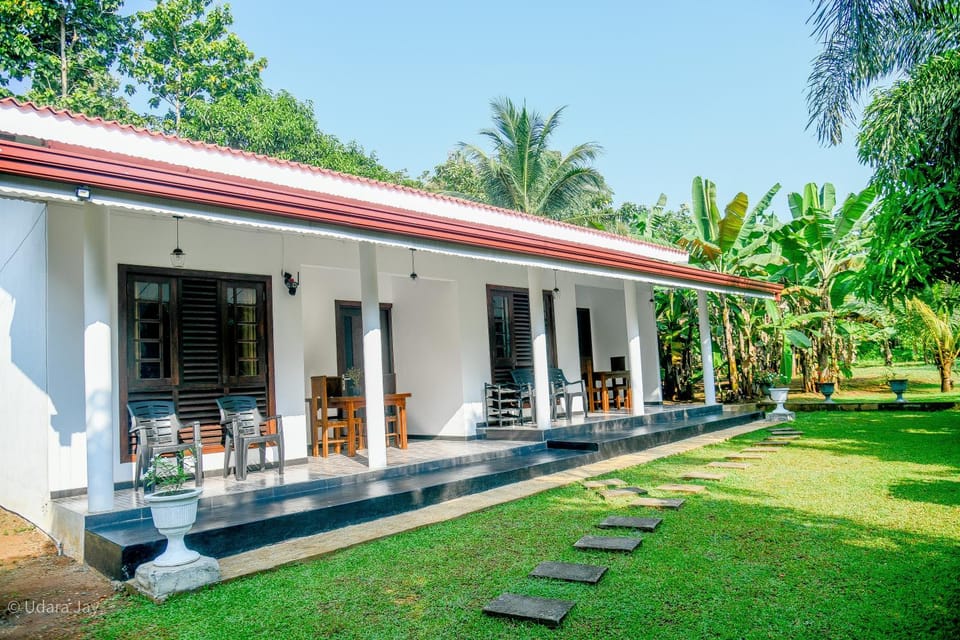 Patio, Day, Garden