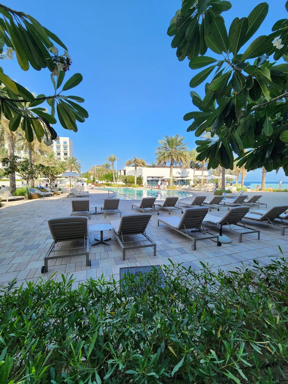 Pool view, Swimming pool