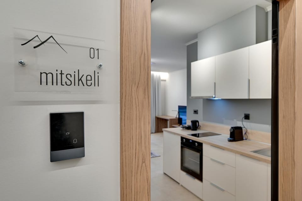 Kitchen or kitchenette, oven, stove