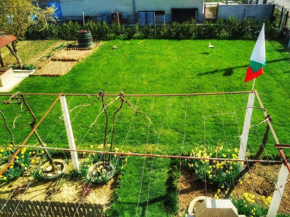 Spring, Day, Natural landscape, Garden, Garden view