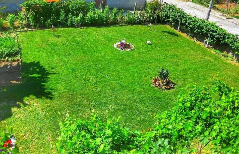 Natural landscape, Garden, Garden view