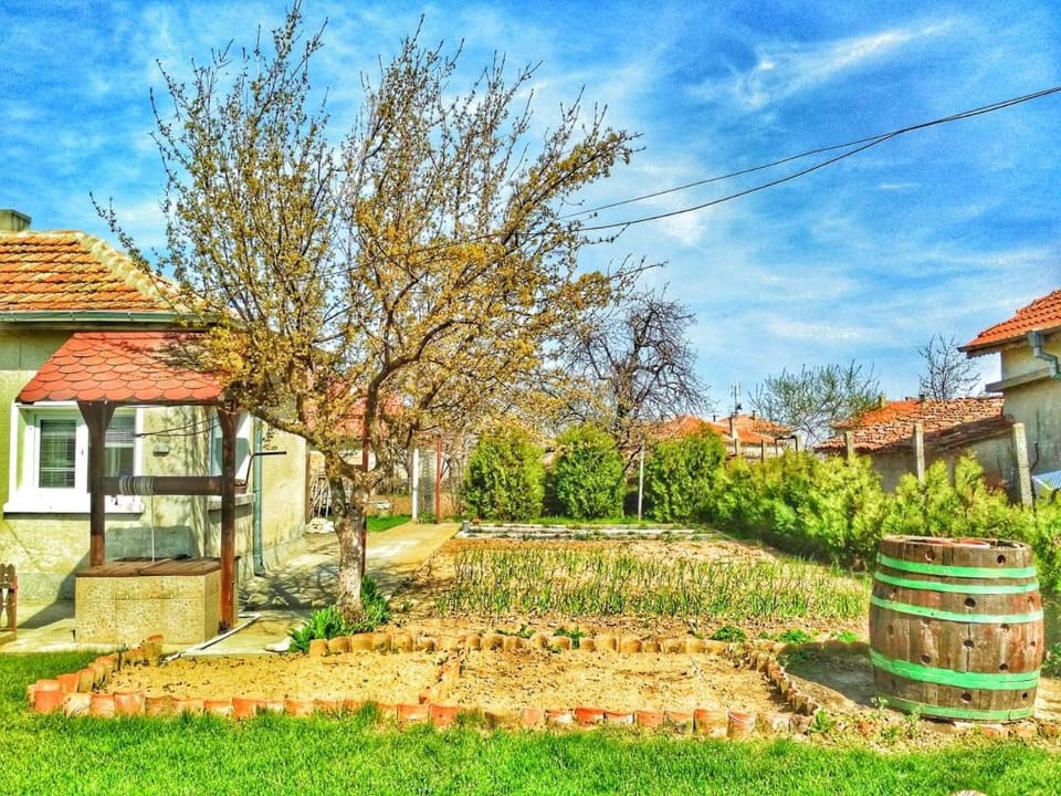 Natural landscape, Garden, Garden view