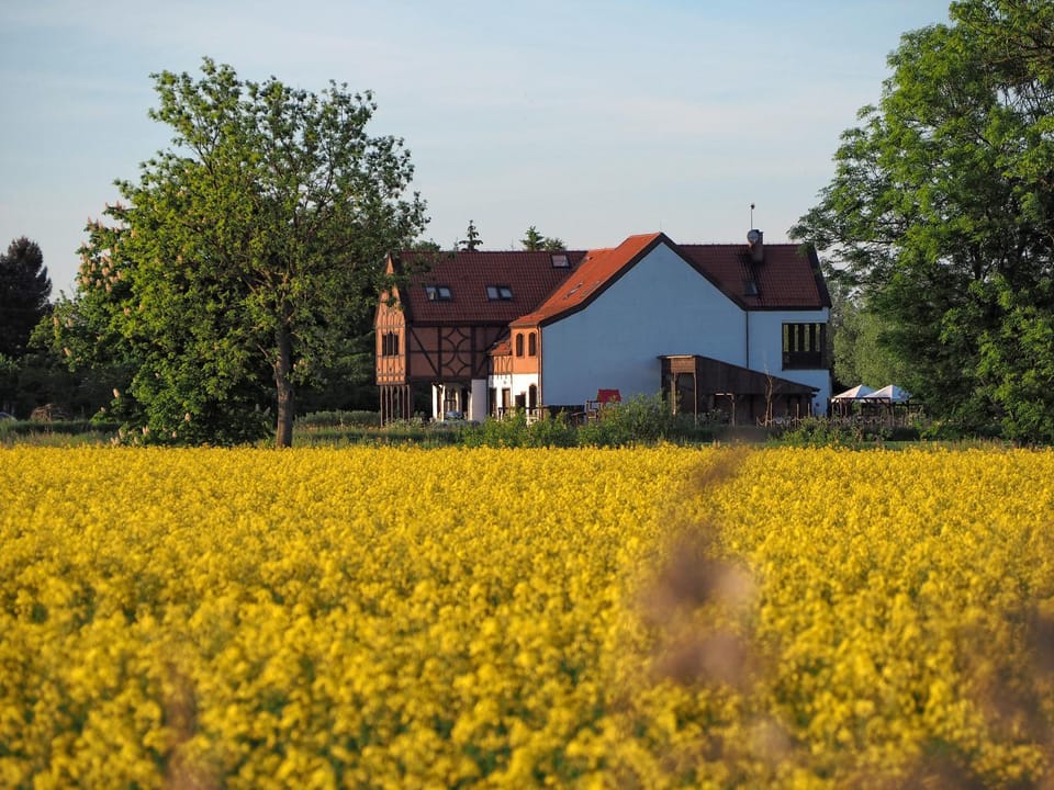 Folwark Żuławski Inn in Pomeranian Voivodeship
