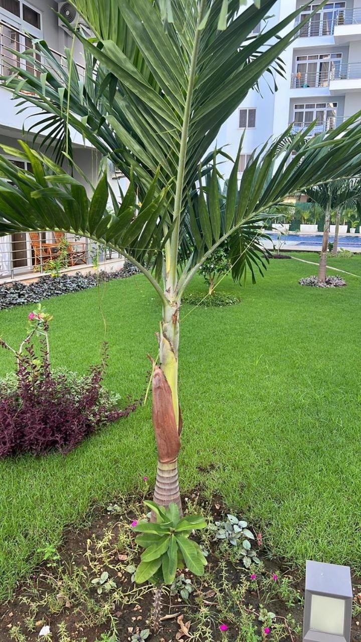 Victoria Happy Hub Apartment in Mombasa
