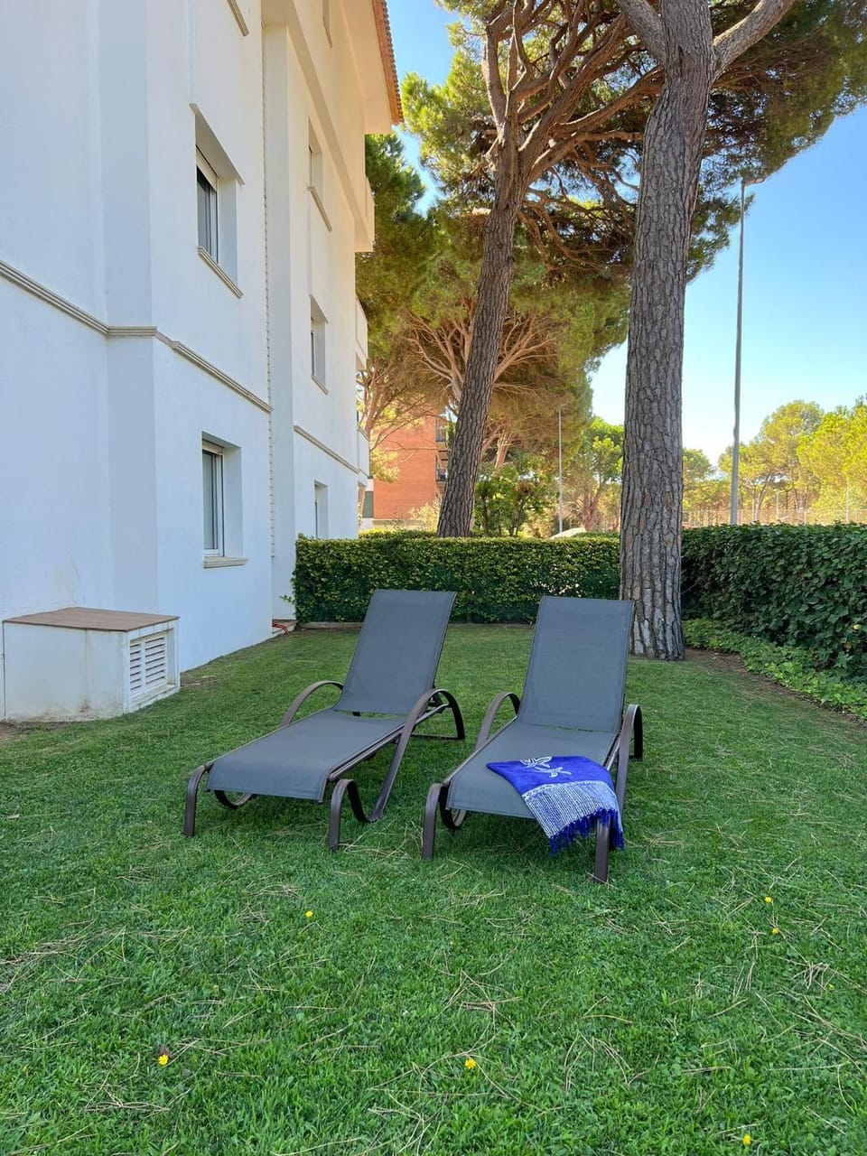 Property building, Garden, Garden