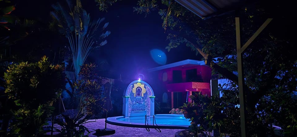 Night, Natural landscape, Garden, Garden view, Swimming pool