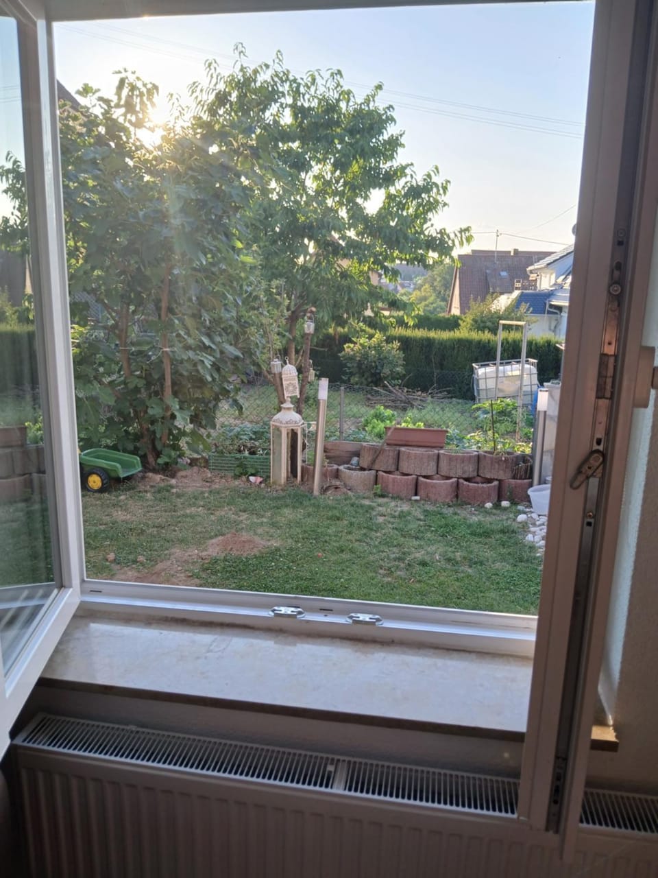 Garden view