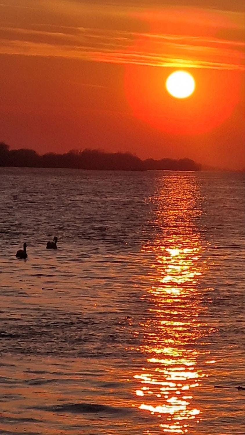 Vikendica Emily House in Vojvodina