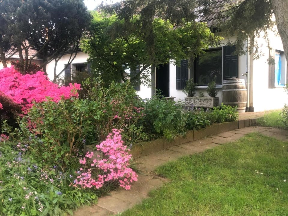 Property building, Garden