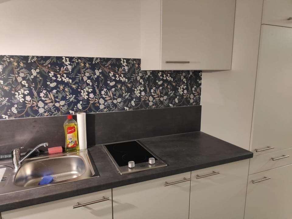 Kitchen or kitchenette, stove
