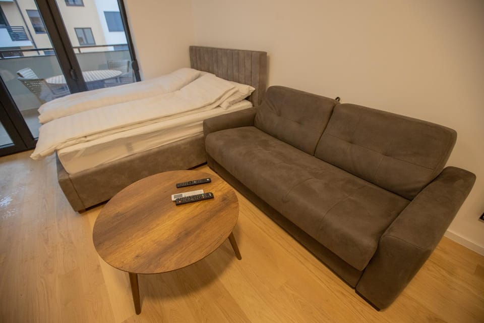 Bed, Living room, Photo of the whole room, Seating area, Bedroom