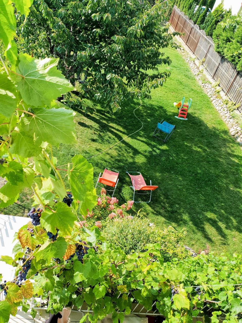 Garden, Garden view