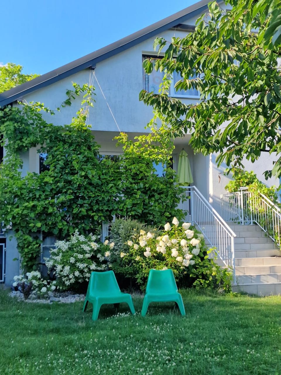 Property building, Garden