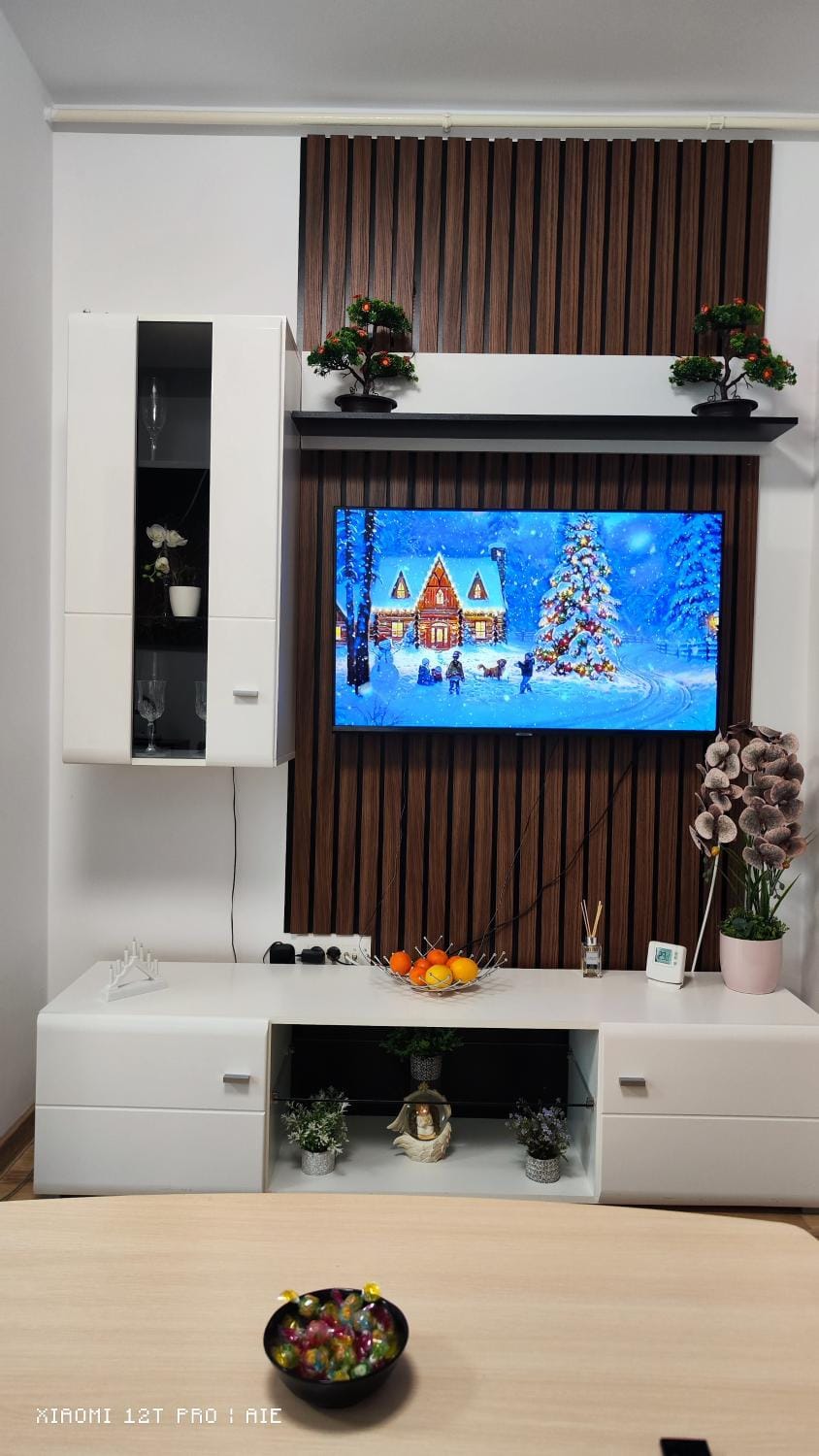 Ralex Studio Apartment in Brasov