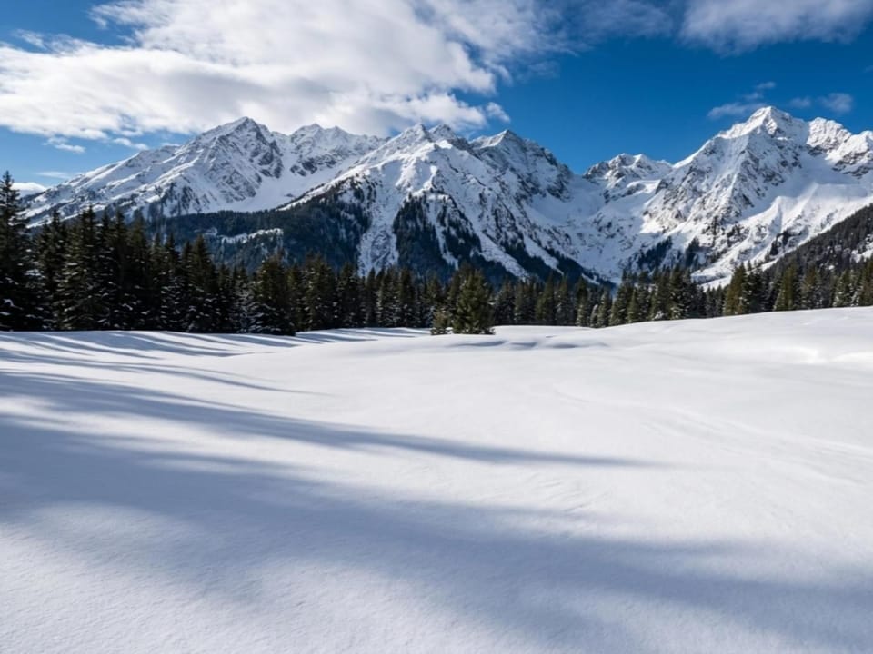 Winter, Area and facilities
