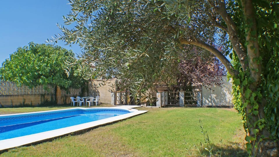 Garden, Garden view, Pool view, Swimming pool