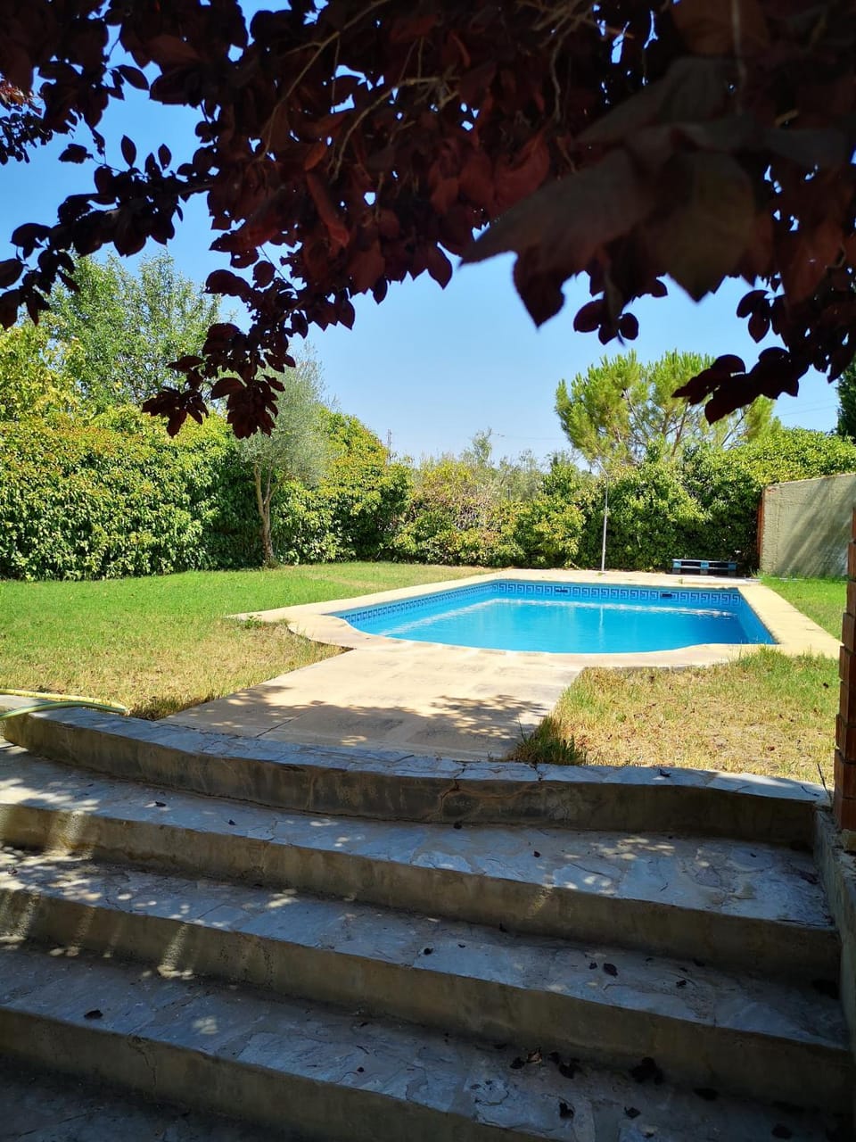 Garden, Garden view, Swimming pool