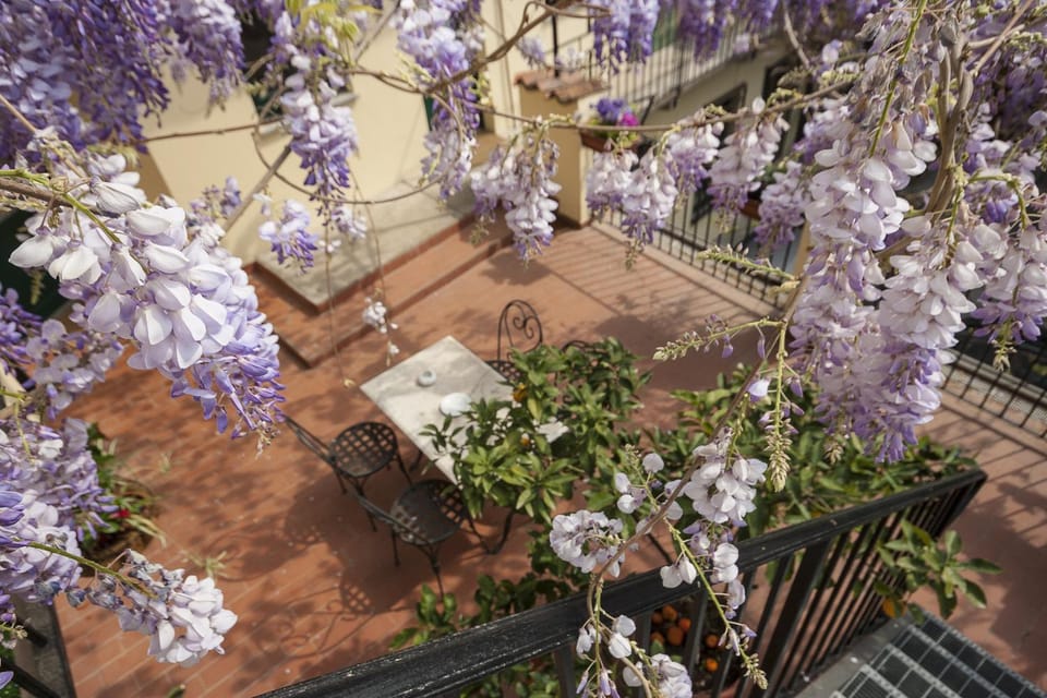 Spring, Day, Bird's eye view, Balcony/Terrace