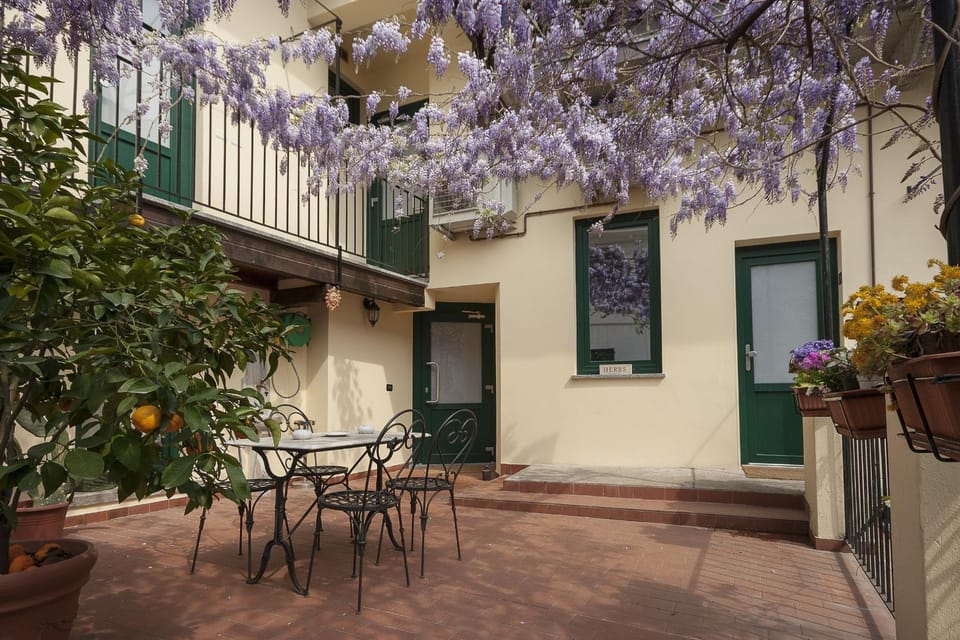 Spring, Day, Balcony/Terrace, Other