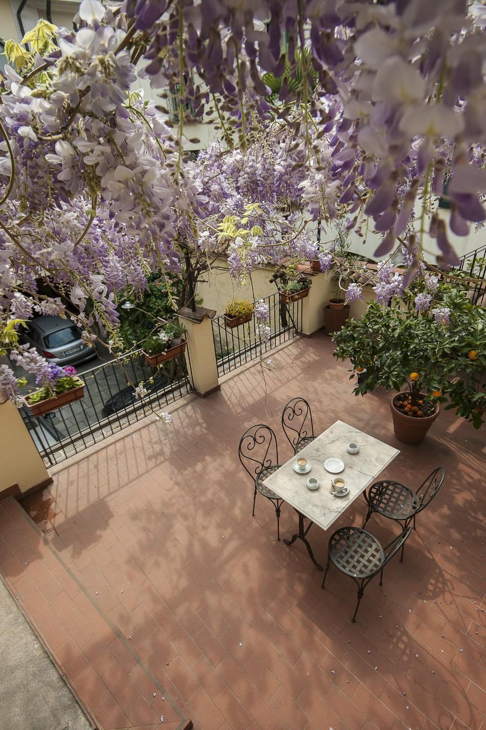 Day, Balcony/Terrace, Drinks