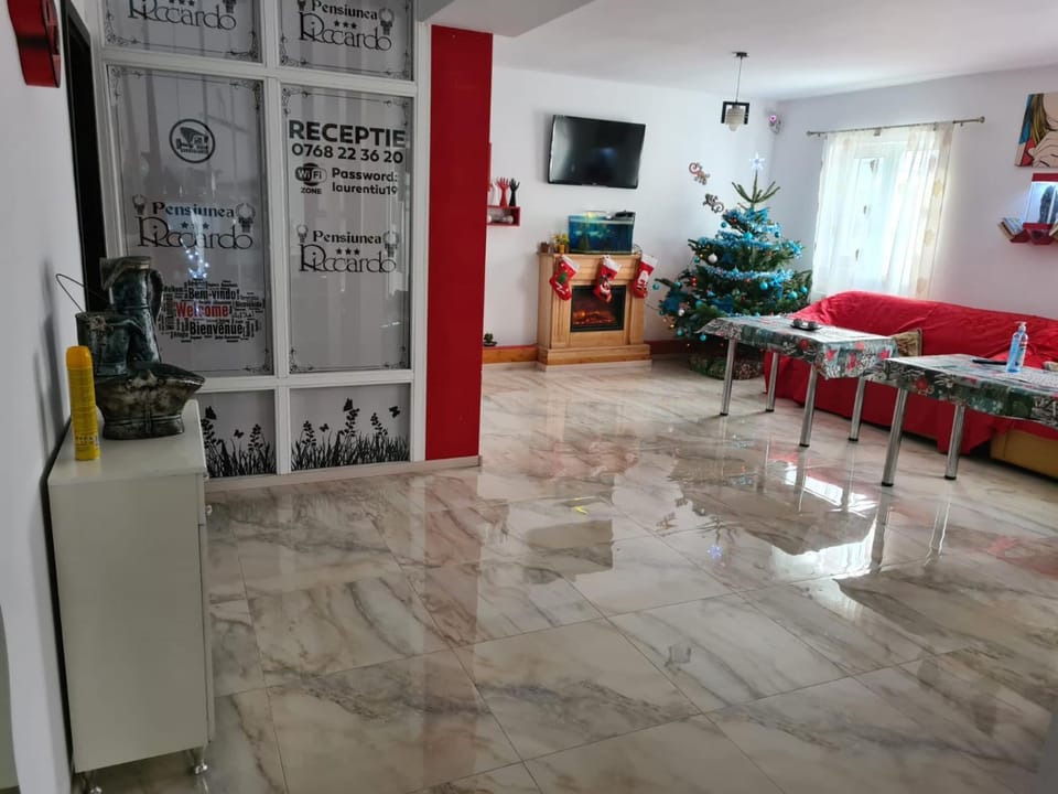 Pensiunea Riccardo Bed and Breakfast in Brasov