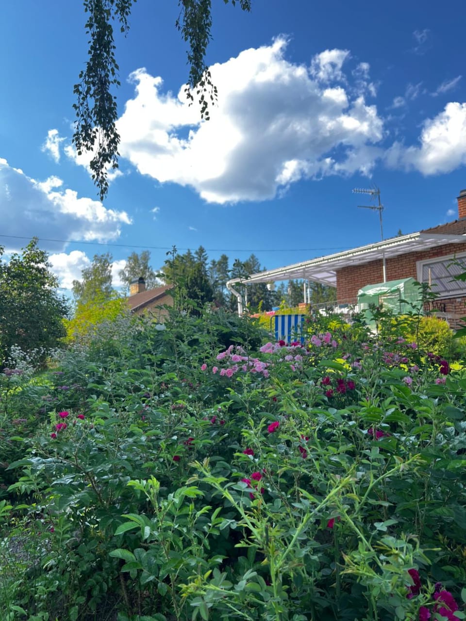 Nordic Quiet Stay Vacation rental in Sweden