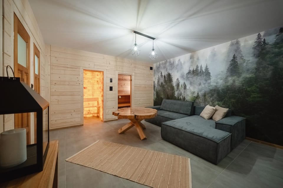 Sauna, Seating area, fireplace