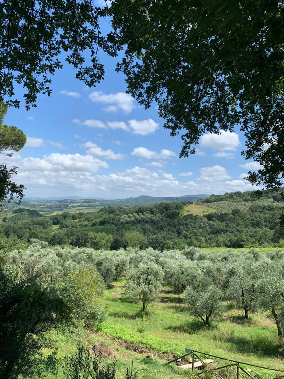 CHARM VILLA Tuscany House in Gambassi Terme