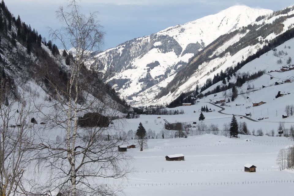 Mountain view