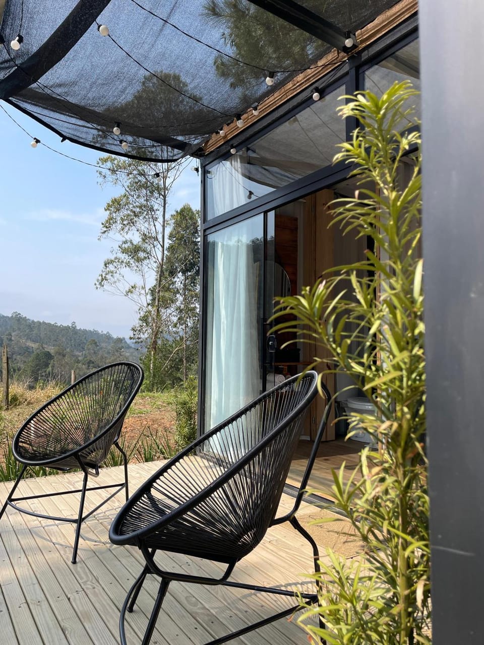 Patio, Garden view