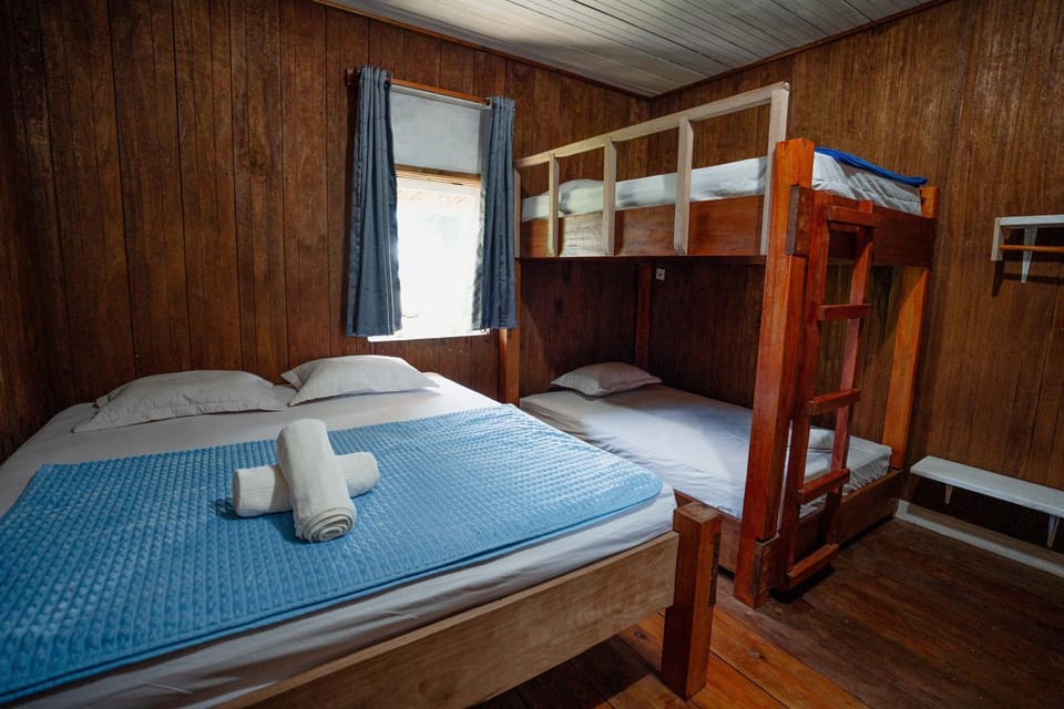 Bed, Photo of the whole room, Bedroom, bunk bed, towels