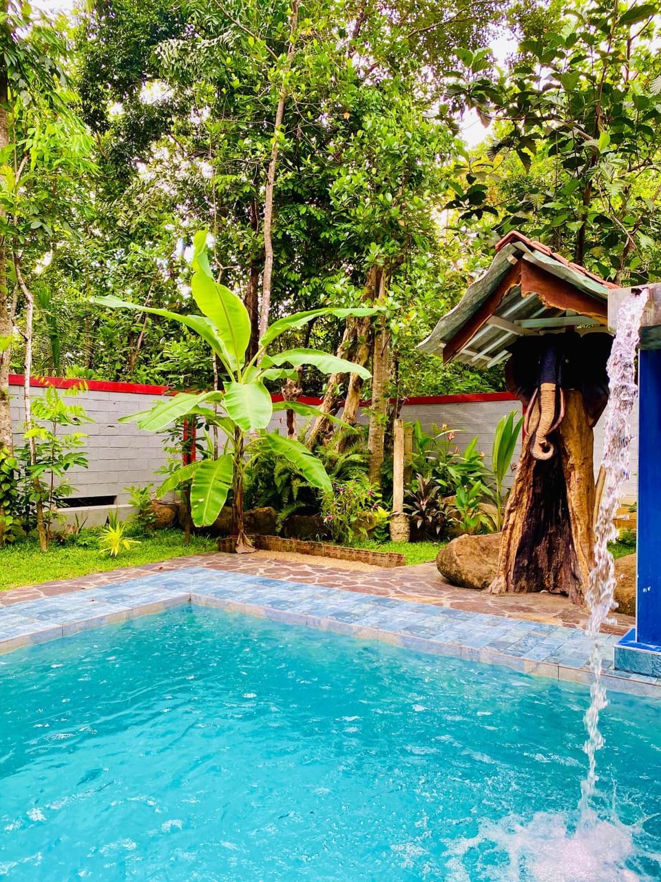 Pool view, Swimming pool