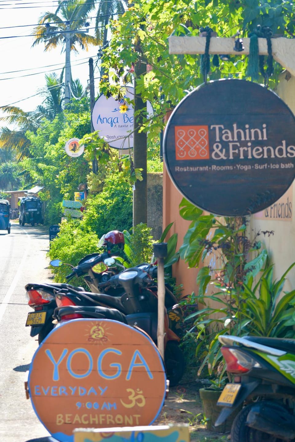 Logo/Certificate/Sign